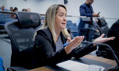 Mutirão de castração para Dourados é solicitado por Lia Nogueira
