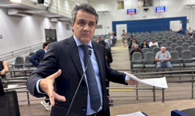 ‘Desmonte’ das castrações na Subea transfere problema para as protetoras dos animais, alerta Landmark