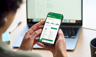 Meu Detran MS: conheça o novo aplicativo que consolida a jornada digital do cidadão