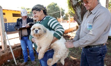 Prefeitura segue com vacinação antirrábica itinerante em setembro