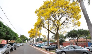 Defesa Civil alerta para calor elevado, chuvas irregulares e risco de tempestades na primavera