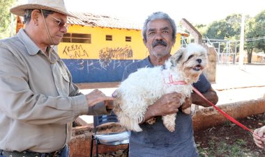 Prefeitura leva vacina antirrábica para animais sob cuidados em Ong’s e de protetores