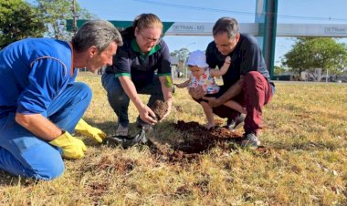Plantio de ipês celebra 40 anos do Detran de MS e eterniza histórias de gerações