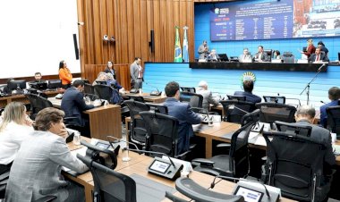 Deputados analisam 14 projetos em sessão ordinária nesta quarta-feira   Veja mais no site da ALMS: https://al.ms.gov.br/Noticias/143593