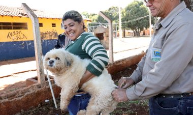 Prefeitura segue com vacinação antirrábica na área rural nesta semana; veja pontos