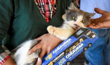 Prefeitura e Estado abrem agendamento da castração dos pets nos dias 1 e 2 de novembro
