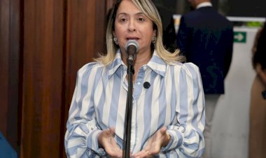 Evento cultural e declaração de utilidade pública são temas de projetos