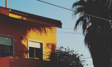 Temperaturas altas: como manter a casa fresca sem depender do ar-condicionado