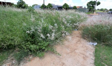 Prefeitura notifica proprietários para roçada e limpeza de terrenos baldios em Dourados