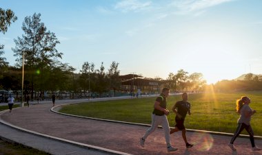 Exercício matinal: começar o dia em movimento pode transformar humor e produtividade