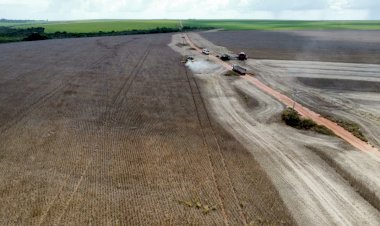 Adaptação climática no agro garante vantagem competitiva