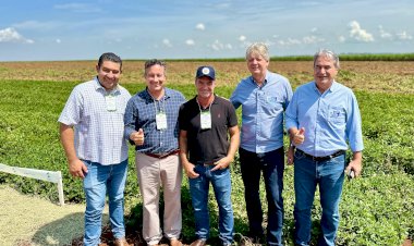 Nova Alvorada do Sul entra para a história com primeira indústria de amendoim do Mato Grosso do Sul