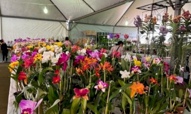 Feira de flores em Dourados acontece de 4 a 8 de março