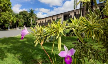 VII Seminário Estadual das águas é o destaque da semana
