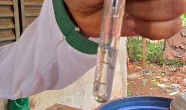 Prefeitura intensifica mobilização e bate de porta em porta na guerra contra chikungunya