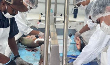 Prefeitura inicia preparo de pescados que serão comercializados na 2ª Festa da Páscoa