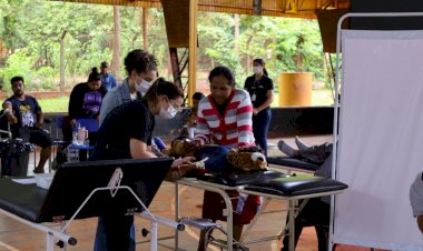 União reconhece situação de emergência em saúde pública por causa da chikungunya