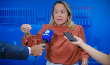 Diante de cenário crítico em Dourados, Lia Nogueira aciona Estado e Município para controle de Chikungunya