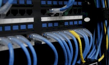 Detran de Mato Grosso do Sul já derrubou mais de 10 sites falsos em 2026 e intensifica monitoramento