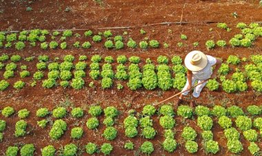 Agraer fortalece acesso ao crédito rural em projetos que abrem oportunidades a quem trabalha no campo