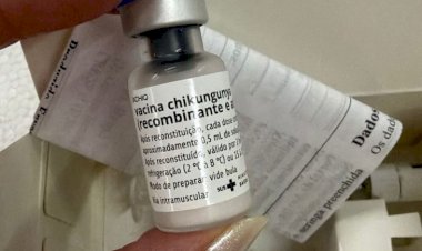 MS recebe doses da vacina contra chikungunya e inicia estratégia piloto em Dourados e Itaporã