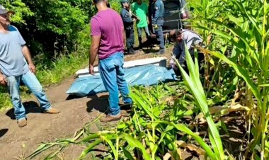 Homem morto por javali em Douradina