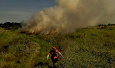 Fogo Zero: Com ações preventivas, queimadas têm queda histórica em MS