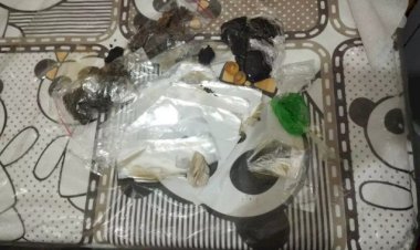 Flagrada com drogas escondidas no sutiã, visitante é presa ao tentar entrar na PED