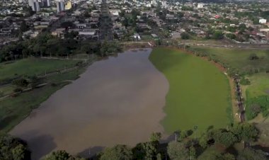 Planta cobre lagos de parques e causa força-tarefa para limpeza em cidade de MS