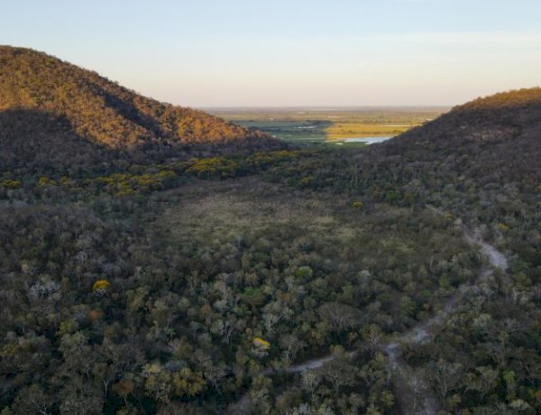 Para preservar o Pantanal, podutores rurais têm ações de conservação remuneradas por programa do Governo de MS