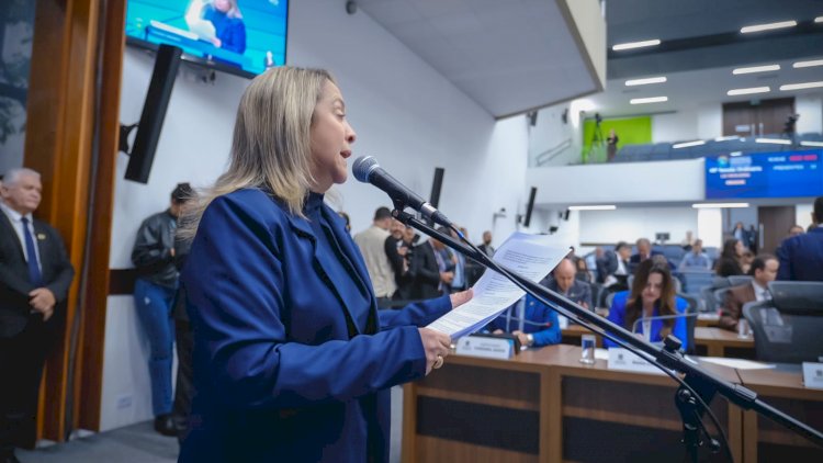 Lia Nogueira aciona Energisa para garantir energia estável na zona rural de Ponta Porã