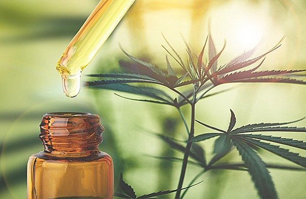 Comissão de Direitos Humanos debate uso medicinal da Cannabis