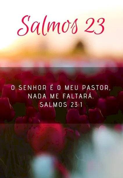 Salmo do dia