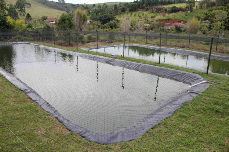Prefeitura isenta de licença ambiental projetos de piscicultura de até 2 hectares