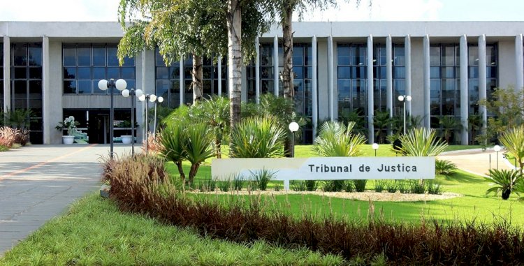 Empresa de ônibus deve indenizar familiares de vítima fatal de acidente de trânsito