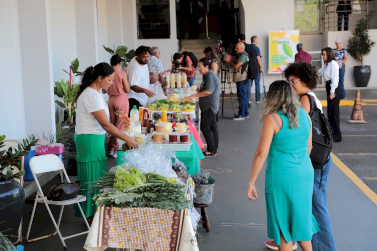 Feira na Câmara ajuda a dar visibilidade às mulheres que vivem da agricultura familiar