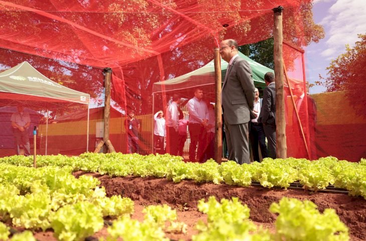 Esperança que floresce entre muros: reforma de escola une educação, dignidade e transformação social em MS