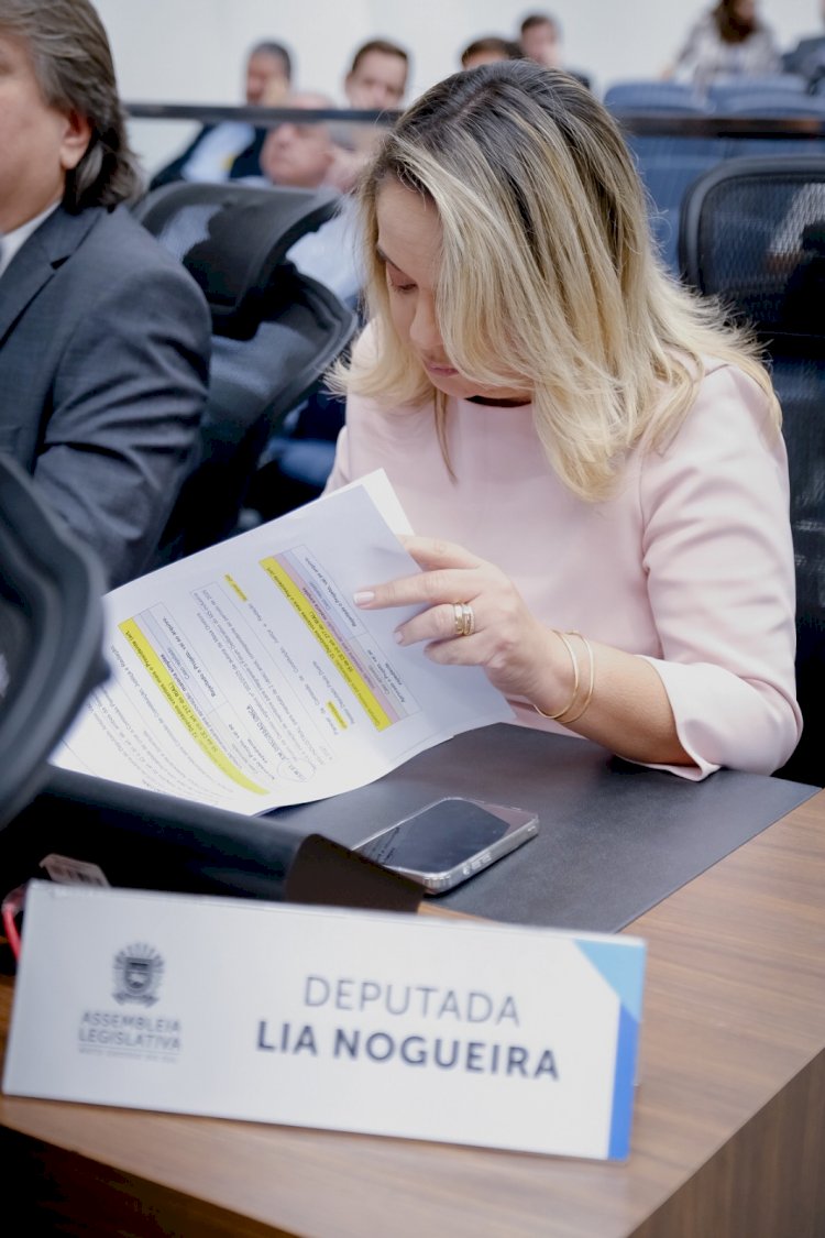 Após aumento nos furtos, Lia Nogueira pede reforço no policiamento em Naviraí