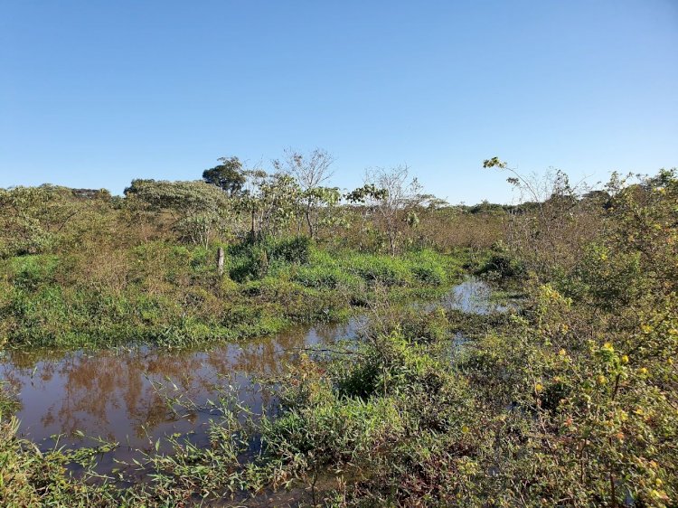 Prefeitura intensifica atividades no Dia Mundial do Meio Ambiente