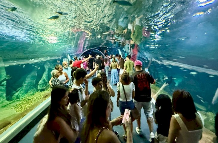 Bioparque Pantanal bate recorde de visitantes e consolida Campo Grande como novo destino turístico nacional