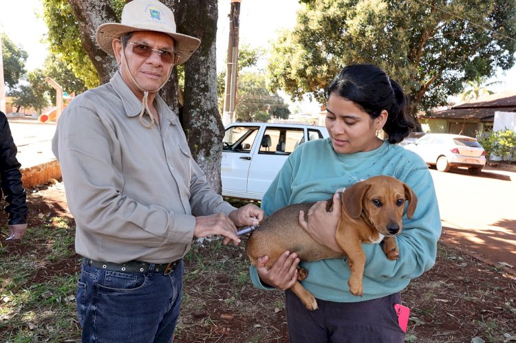 Campanha ocorre durante todo o mês de agosto e tem como finalidade preservar a saúde e o bem-estar dos animais e proteger toda a comunidade