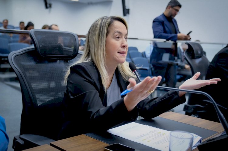 Mutirão de castração para Dourados é solicitado por Lia Nogueira