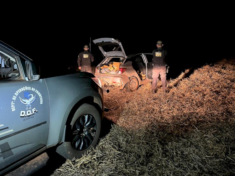 DOF apreende quase 200 quilos de maconha em Itaquiraí
