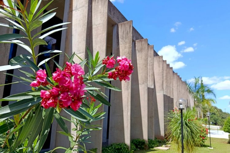 Agenda: Destaque da semana é lançamento do cronograma de emendas parlamentares 2026