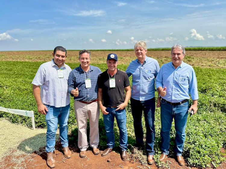 Nova Alvorada do Sul entra para a história com primeira indústria de amendoim do Mato Grosso do Sul