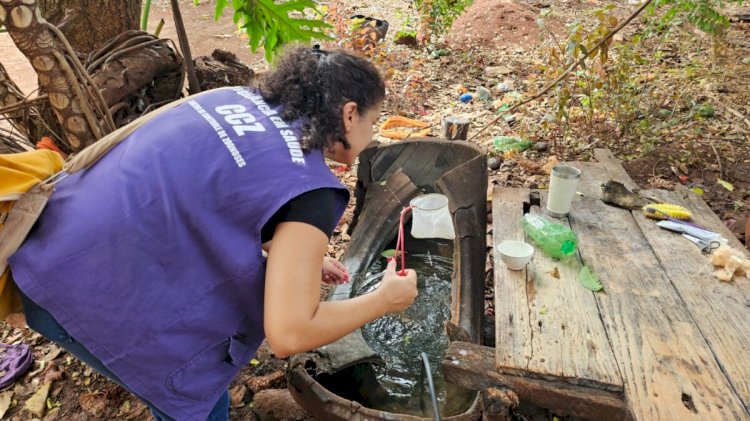 Agentes vistoriam 1.439 casas nas aldeias e encontram 493 focos do Aedes aegypti