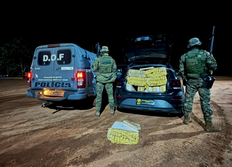 DOF prende dupla com 250 quilos de maconha em Ponta Porã