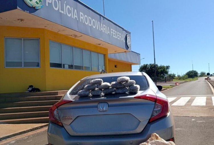 Mulher é presa com 50 quilos de skunk enquanto viajava com a filha menor